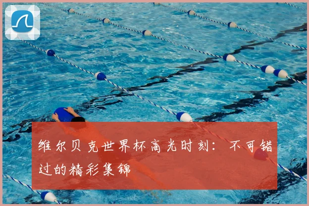 维尔贝克世界杯高光时刻:不可错过的精彩集锦