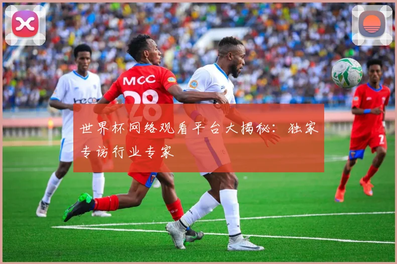 世界杯网络观看平台大揭秘：独家专访行业专家