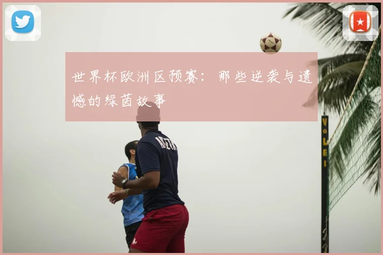 世界杯欧洲区预赛:那些逆袭与遗憾的绿茵故事