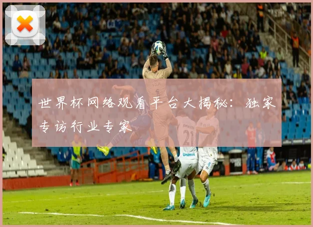 世界杯网络观看平台大揭秘：独家专访行业专家